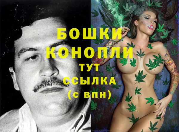 СК Белокуриха