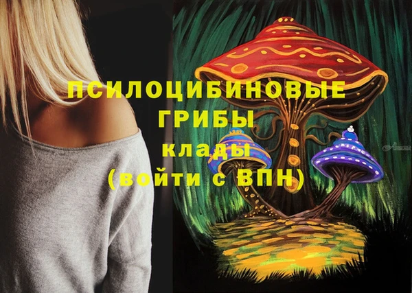 ешки Белоозёрский