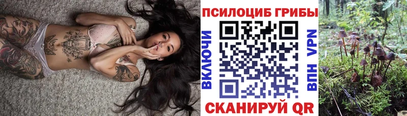 Галлюциногенные грибы MAGIC MUSHROOMS  Ленинградская 