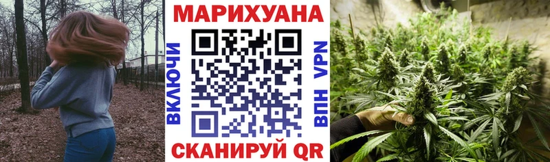 МАРИХУАНА план  где купить наркотик  blacksprut вход  Ленинградская 